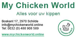 My Chicken World